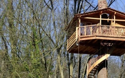 Las casas árbol. Una nueva atracción turística.