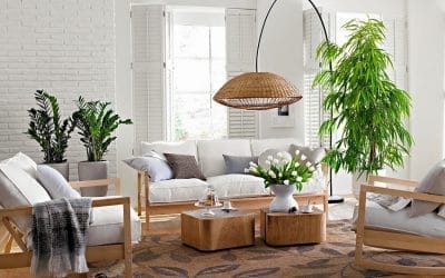 Cuida tus plantas durante el otoño