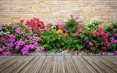 Cómo redecorar tu jardín siguiendo 6 simples pasos