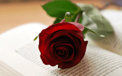 Ideas para guardar tus rosas de Sant Jordi