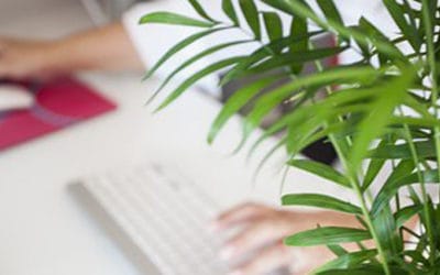 Los 8 consejos para crear un espacio de teletrabajo eficaz, saludable y productivo