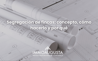 Segregación de fincas: qué es, cómo hacerla y por qué puede interesarte